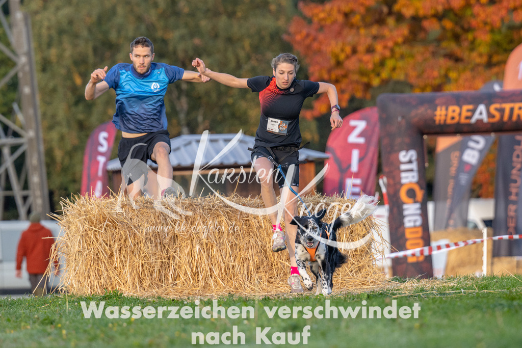 0900_ZZ92085 | kk-dogfotos