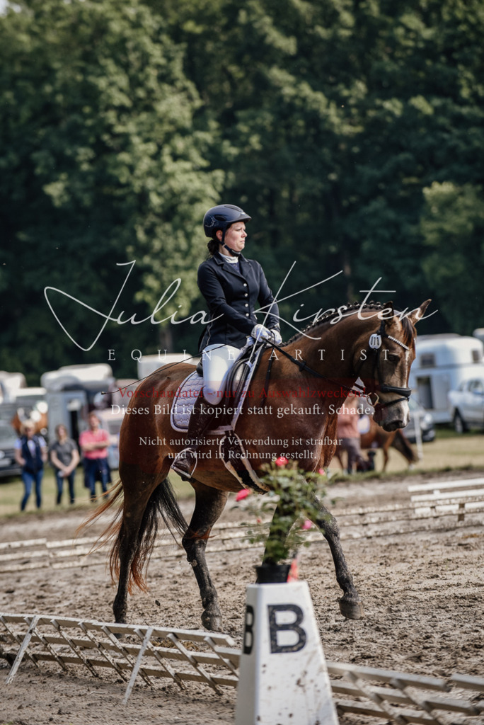 DSC_9299 | Pferde- und Turnierfotografie in Westsachsen. Pferdeportraits, Auftragszeichnungen und intuitive Kunst.