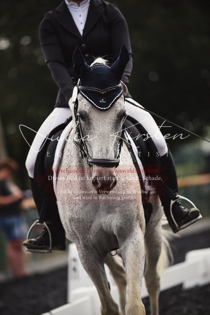 DSC_3955 | Pferde- und Turnierfotografie in Westsachsen. Pferdeportraits, Auftragszeichnungen und intuitive Kunst.