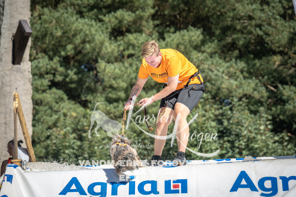 1305_ZZ98340 | kk-dogfotos