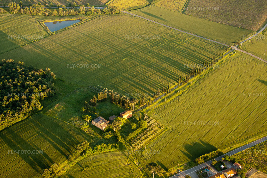 Aerial view: Grassy areas – structures of a field landscape with long shadows from the cypress avenue of the old farmstead Az. Agr. San Luciano in Monte San Savino in the state Arezzo, Italy. – Photo: IMG_27989.jpg taken on 05/30/2010 by Werner Riehm/FLY-FOTO.com – Resolution of the original: 4752 x 3168 px
