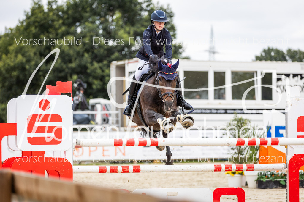 BHO-2PhSpr-M-5-2406 | MomenTaufnahmen Pferdesportfotos