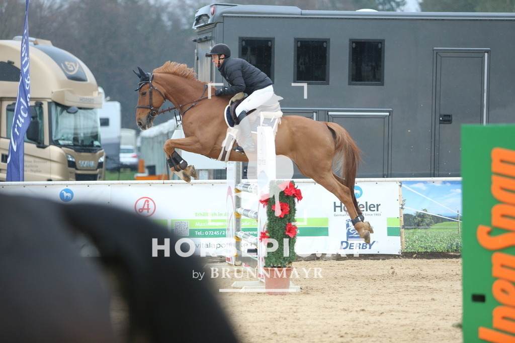 DL2Q6873 | Willkommen bei Brunnmayr - Design & Fotografie – Ihrem Spezialisten für Reitturniere und Pferdeveranstaltungen in Oberösterreich, Salzburg und Bayern! Seit über 17 Jahren sind wir leidenschaftlich dabei.
