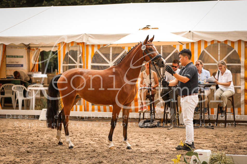 11.So00006 | Leoni Ertmer Photography - Realisiert mit Pictrs.com