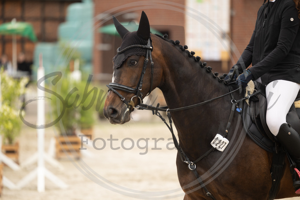 994A9231 | sabrinanicolaifotografie - Realisiert mit Pictrs.com