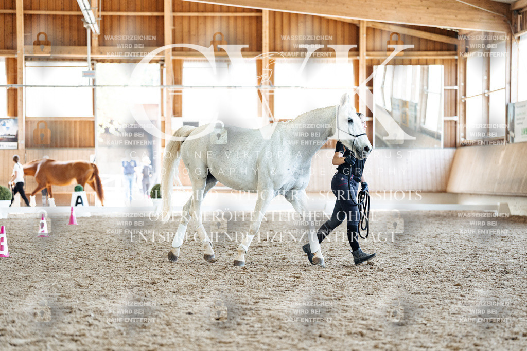CK907712 | Turnierfotografie Pferdefotografie Trier Rheinland-Pfalz Pferdesport Reitsport Tierfotografie Sportfotografie Pferdevideo Pferdevideografie Equestrianvideography equestrianphotography  - Realisiert mit Pictrs.com