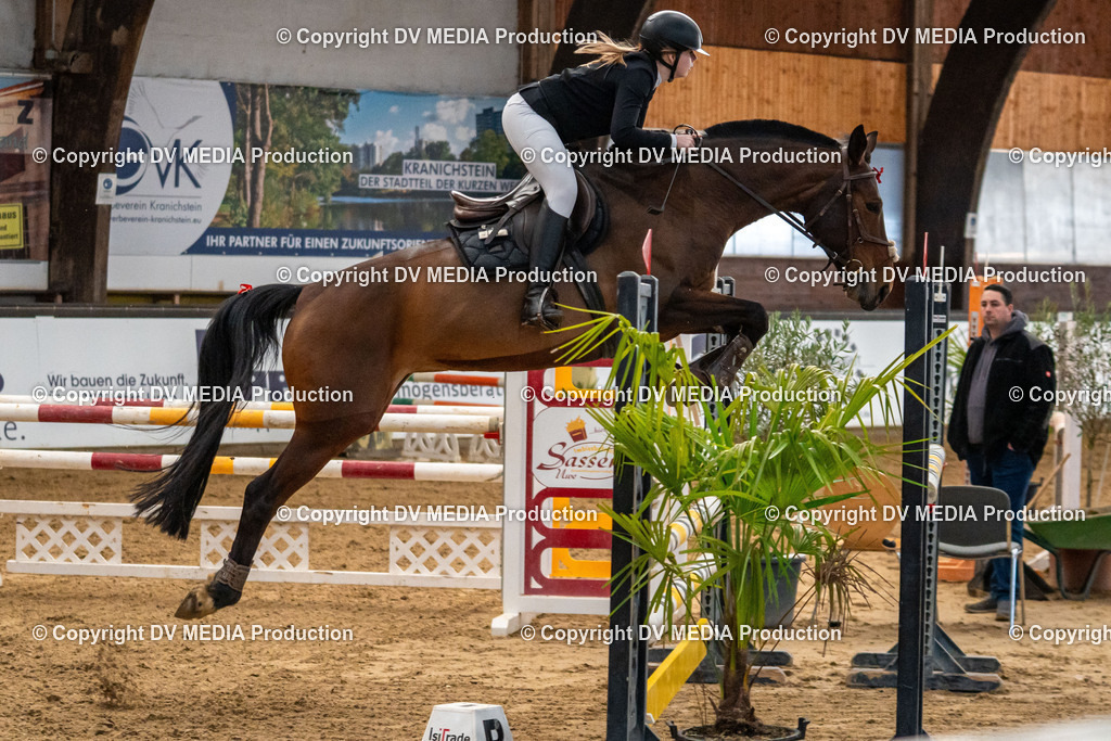 Kranichstein Tag 2-297 | dv-media-shop - Realisiert mit Pictrs.com