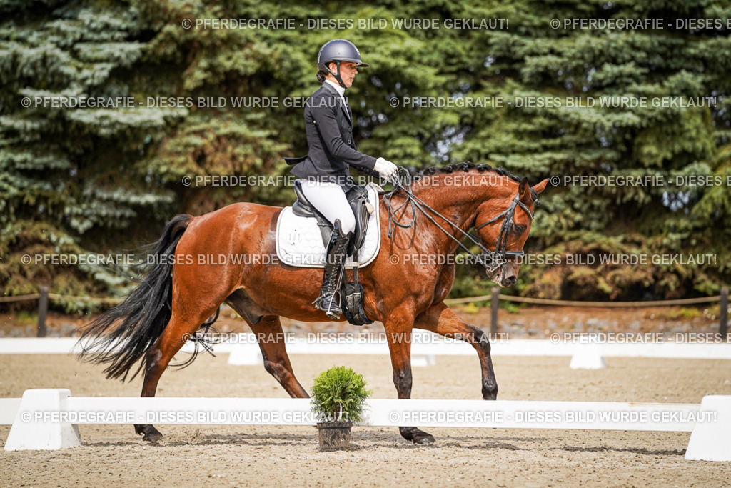 DSC05048 | Pferdegrafie