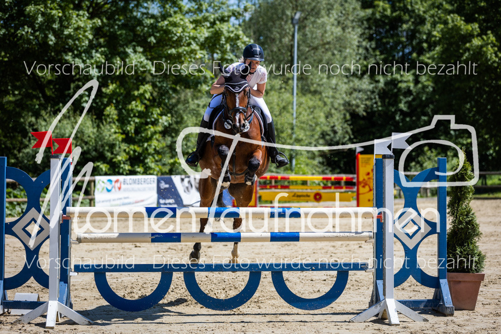 Donop24-Stil-L-075 | MomenTaufnahmen Pferdesportfotos