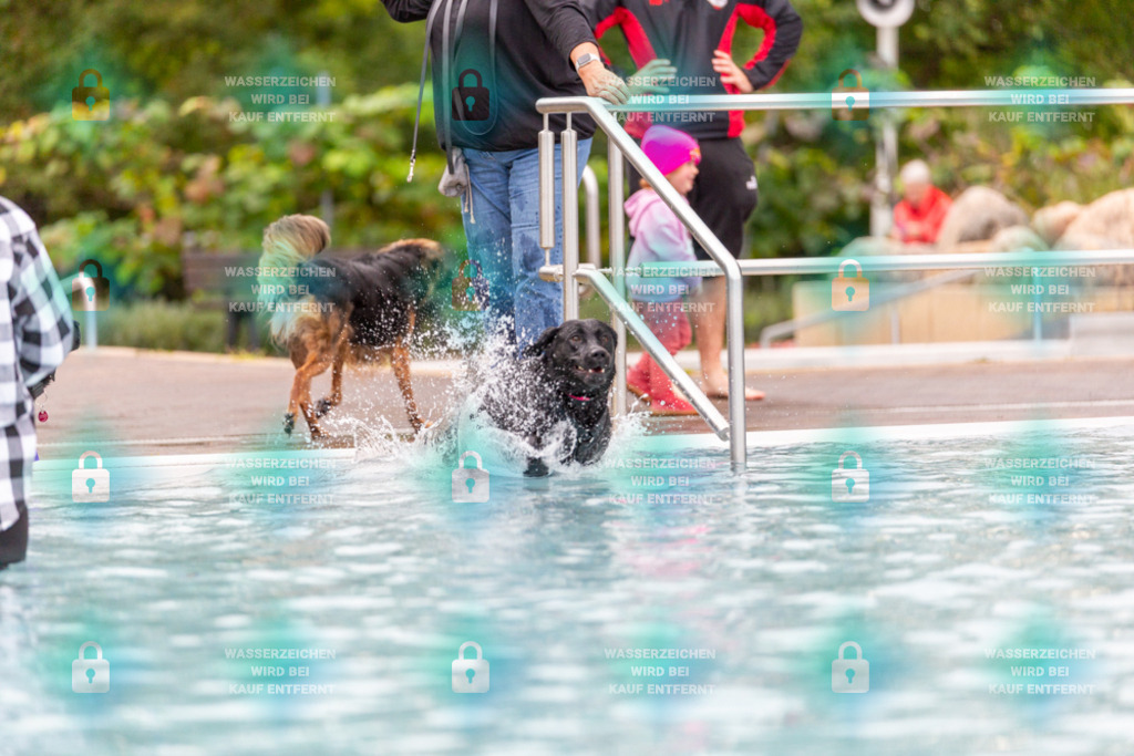 _HP_6291_1000o | HetPix, HetPix Fotodesign, Fotografie, Fotodesign, Webshop, Sportfotografie, Portraitfotografie, Onlineshop, Sportfotografie, Polch, Motorsportfotografie, Eventfotografie