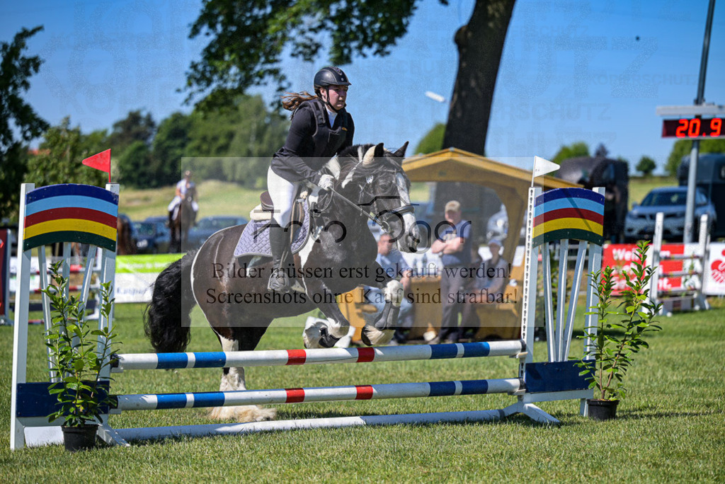 Reitturnier Voxtrup | Entdecke hochwertige Reitturnierfotos von Foto Oger. Professionell, emotional und authentisch – jetzt Lieblingsmomente im Shop bestellen. - Realisiert mit Pictrs.com