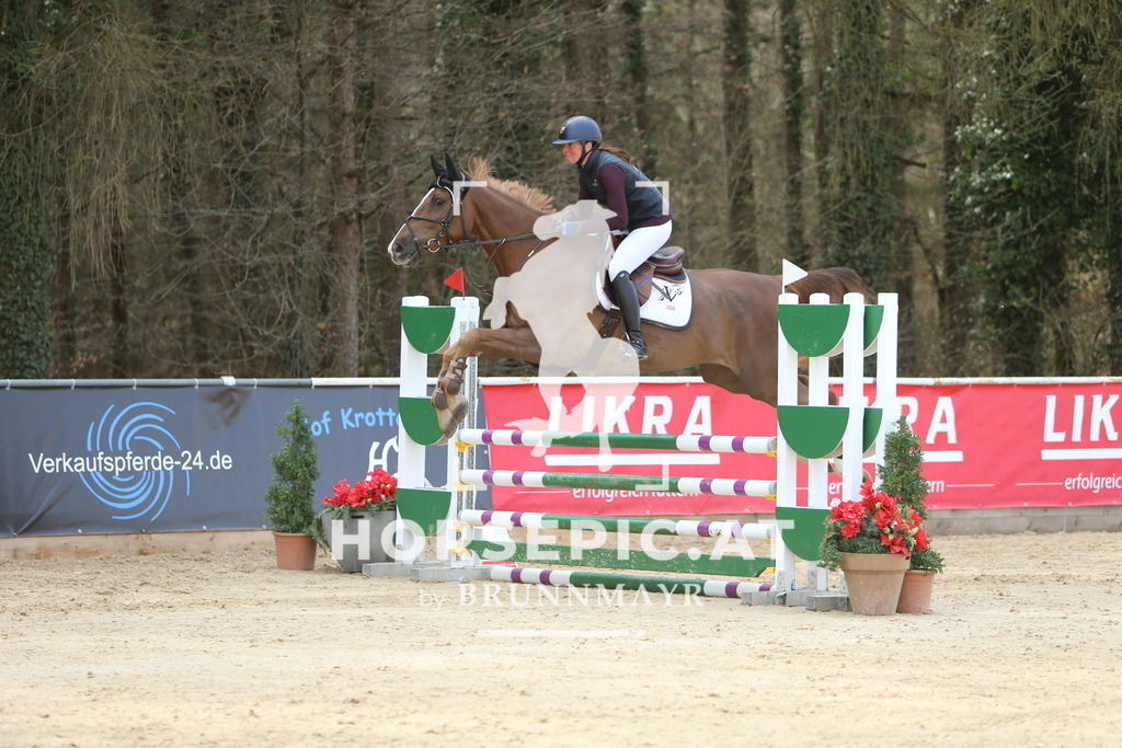 DL2Q8821 | Willkommen bei Brunnmayr - Design & Fotografie – Ihrem Spezialisten für Reitturniere und Pferdeveranstaltungen in Oberösterreich, Salzburg und Bayern! Seit über 17 Jahren sind wir leidenschaftlich dabei.