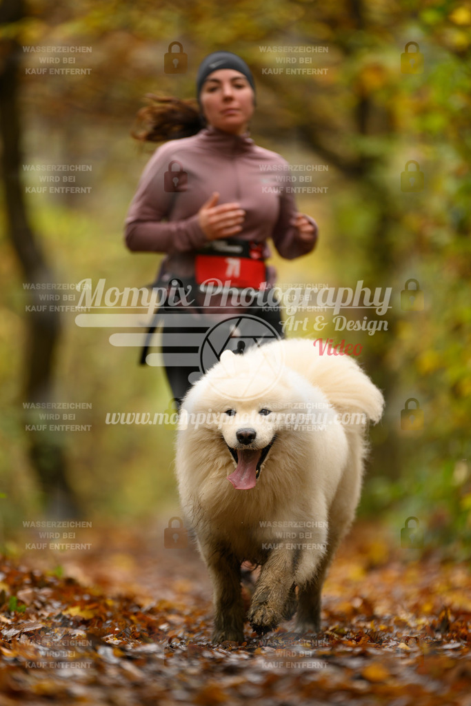 MompixPhotography_CD7S_DI_CCL-58 | mompixphotography