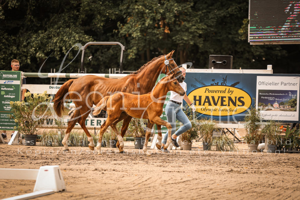 SaPA00195 | Leoni Ertmer Photography - Realisiert mit Pictrs.com