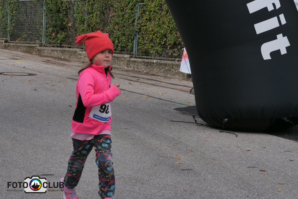 P1017384 | Foto Buchgraber