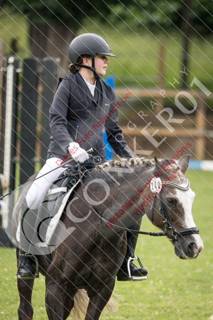 IMG_2755 | Sport-, Event- und Tierfotos in Profiqualität. Einfach auswählen, bestellen und herunterladen. Dein Moment – perfekt festgehalten.