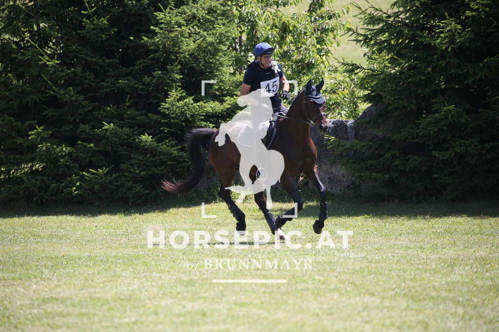 DL2Q0723 | Willkommen bei Brunnmayr - Design & Fotografie – Ihrem Spezialisten für Reitturniere und Pferdeveranstaltungen in Oberösterreich, Salzburg und Bayern! Seit über 17 Jahren sind wir leidenschaftlich dabei.