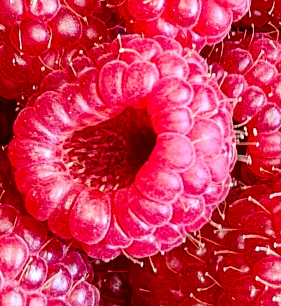 Abstract Raspberry Texture | Botanische Kunst Wandbild | Abstrakte Kunst aus der Natur. Diese extreme Makro-Nahaufnahme fängt die feinen, faszinierenden Strukturen und das intensive Pink-Rot von frischen Himbeeren ein. Durch den engen Bildausschnitt wirkt das Motiv wie eine moderne, organische Textur. Ein absolut leuchtender Blickfang als großformatiges Wandbild (besonders edel hinter Acrylglas/Gallery-Print) für moderne Küchen, Esszimmer oder Wohnräume. - Realisiert mit Pictrs.com