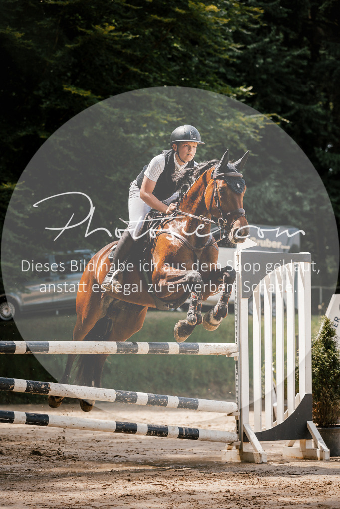 3I6A7992 | Stimmungsvolle Portraits und Reitsportfotografie im Ruhrgebiet und im Münsterland.

Pferdefotografie, Hundefotografie, Tierfotografie, Reportagen, Portraits von Tier und Mensch, Turnierfotografie in Bochum, Recklinghausen, Marl, Haltern am See, Dülmen.. - Realisiert mit Pictrs.com