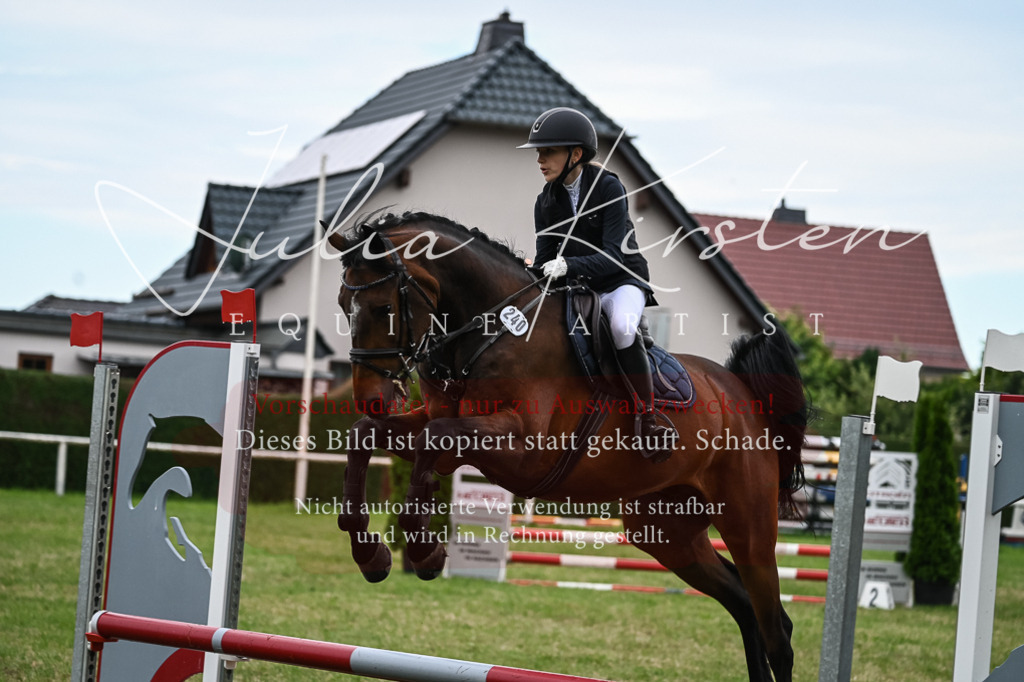 DSC_8480 | Pferde- und Turnierfotografie in Westsachsen. Pferdeportraits, Auftragszeichnungen und intuitive Kunst.