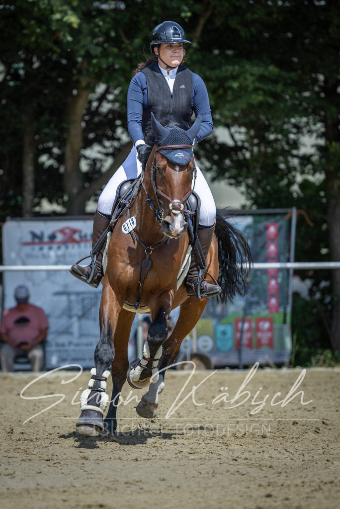 20260704-_3LI0356 | Tierfotografie Pferde, Hunde, Katzen, Haustiere.
Turnierfotografie Reitturniere, Reiten, Springreiten, Dressur in Hanau, dem Main-Kinzig-Kreis und dem Rhein-Main- Gebiet um Frankfurt
