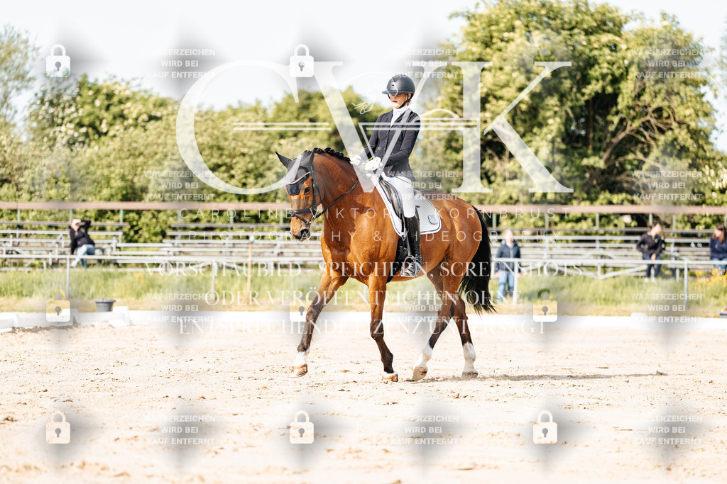 CK900145 | Turnierfotografie Pferdefotografie Trier Rheinland-Pfalz Pferdesport Reitsport Tierfotografie Sportfotografie Pferdevideo Pferdevideografie Equestrianvideography equestrianphotography  - Realisiert mit Pictrs.com