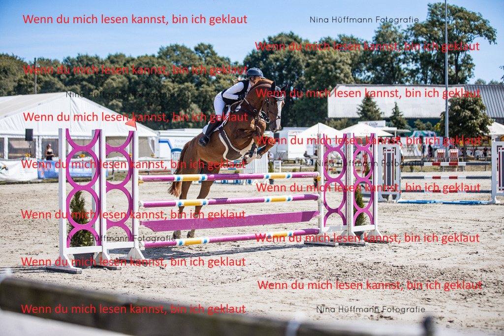 BK1A6369 | Turnierbilder Turnierfotos Nina Hüffmann Turnierfotografie Pferdefotografie Tierzeichnung Haustierzeichnung Pferdezeichnung Hundezeichnung Videograf  - Realisiert mit Pictrs.com