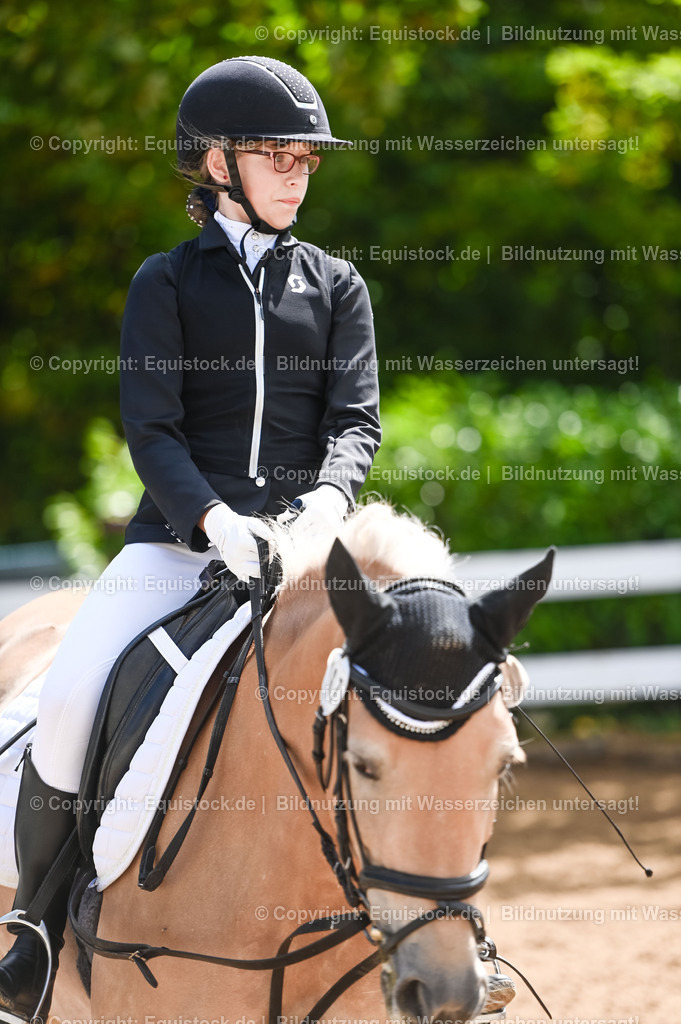 20230716_10-3_Reiter-WB Schritt - Trab - Galopp_0094 | equistock