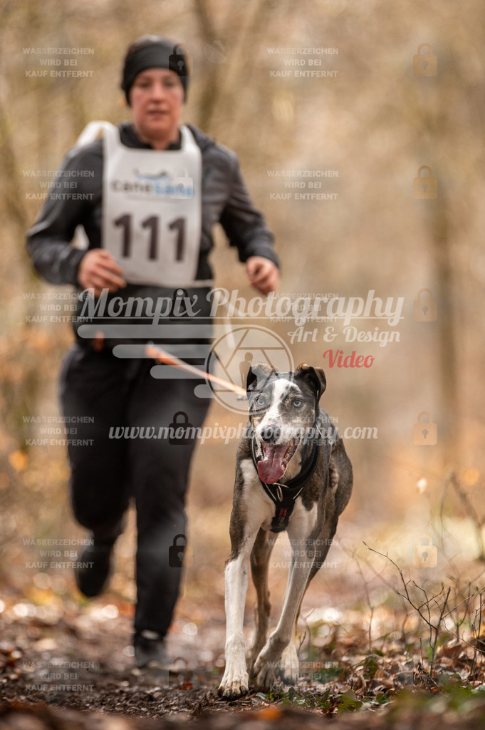 Reiat2023_SON_CaniXRun_5km_W-72 | PayLife