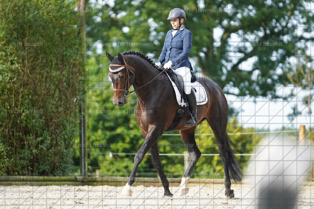 20230826-FAH04505 | Forstinning, 2023, Dressurturnier, Turniersportbilder, Turnierfotografen Bayern, Fotoagentur Herrmann, Reitsportfotografie, Turnierbilder