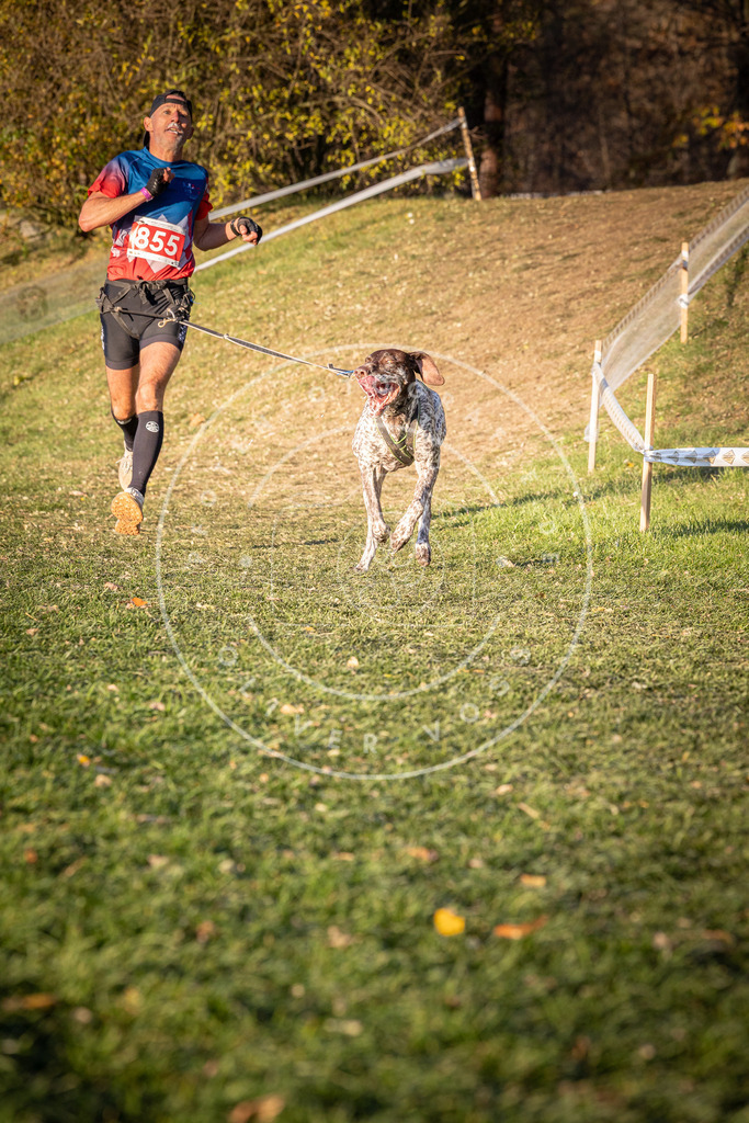 CaniXpix_0L8A0842 | Hundefotografie, Tierfotograf, Pfotenfotografie, Fotoshooting Hund, Hunde Portrait, Hundesport, Hundeportraits, Heideshooting, Hunde, Sportfotograf, Hundefotograf, Turnierhundsport, THS,  - Realisiert mit Pictrs.com