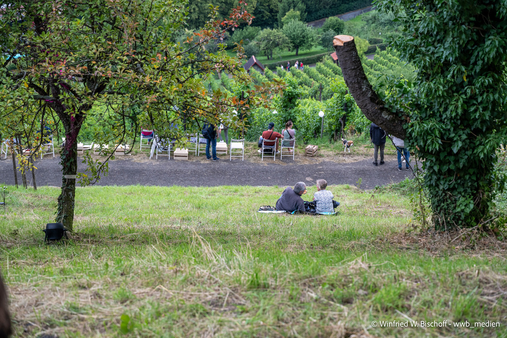 _DSC1379 | <Fotografie> <Video> <Film> <Winfried Bischoff> - Realisiert mit Pictrs.com