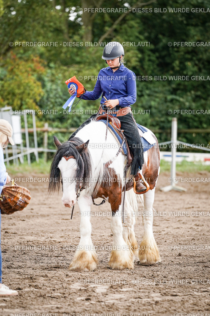 DSC07870 | Pferdegrafie