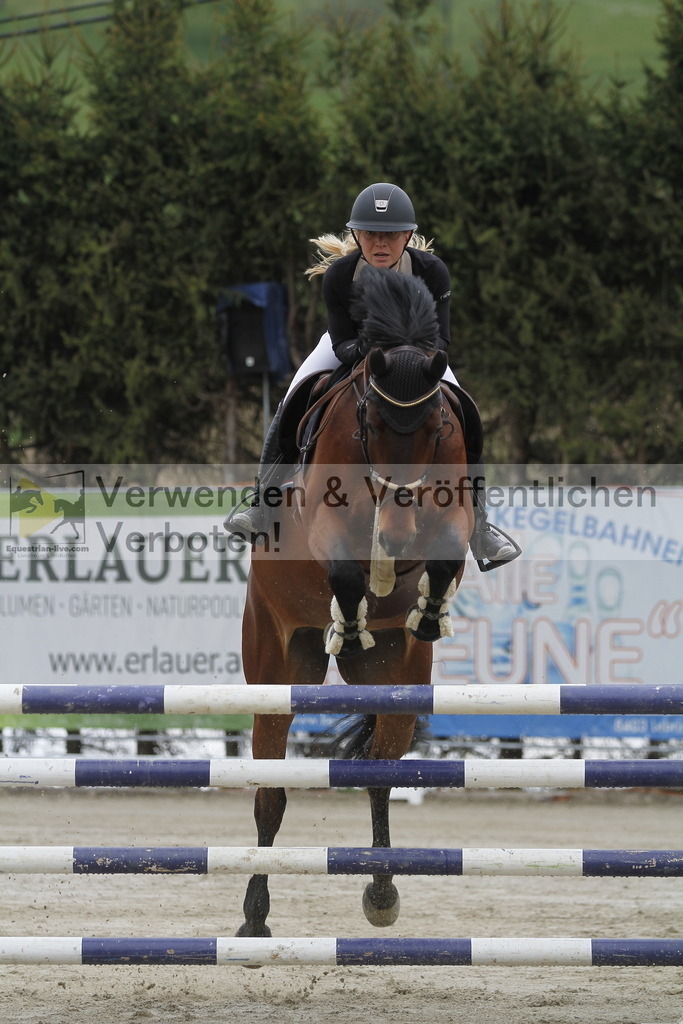 _MG_2704 | equestrian-live-com