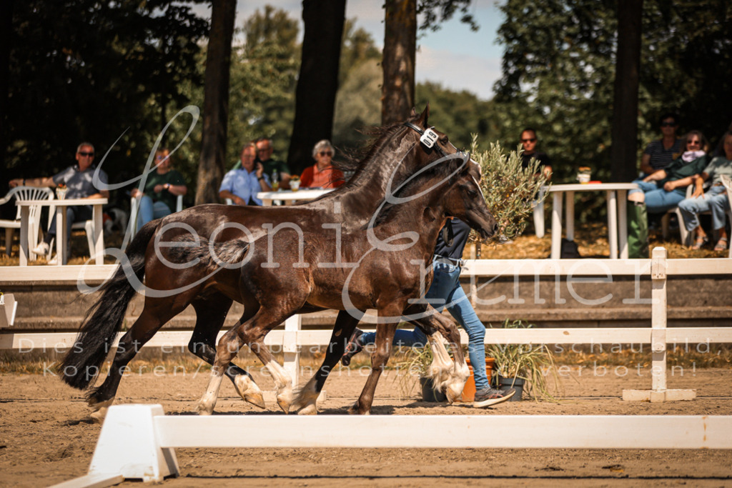 04.DoWP00089 | Leoni Ertmer Photography - Realisiert mit Pictrs.com