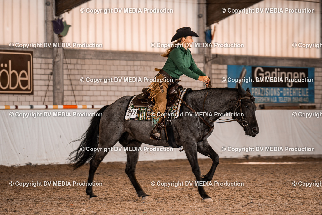 ZH300352 | dv-media-shop - Realisiert mit Pictrs.com