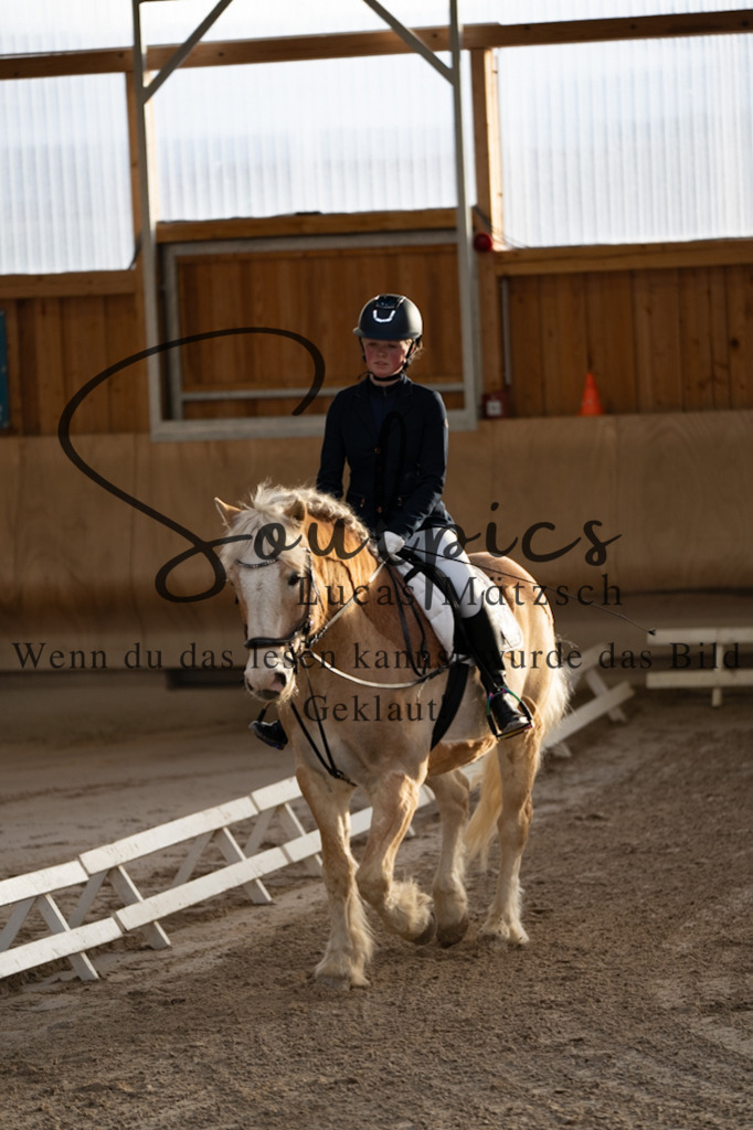 A7V09014 | Pferdefotograf