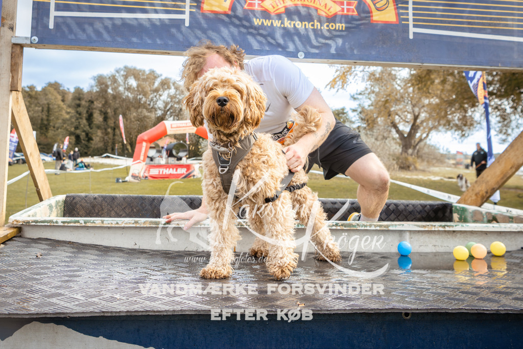 1352_ZZ92595-2 | kk-dogfotos