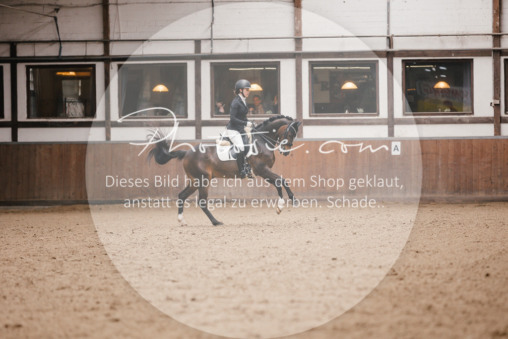3I6A9034 | Stimmungsvolle Portraits und Reitsportfotografie im Ruhrgebiet und im Münsterland.

Pferdefotografie, Hundefotografie, Tierfotografie, Reportagen, Portraits von Tier und Mensch, Turnierfotografie in Bochum, Recklinghausen, Marl, Haltern am See, Dülmen.. - Realisiert mit Pictrs.com