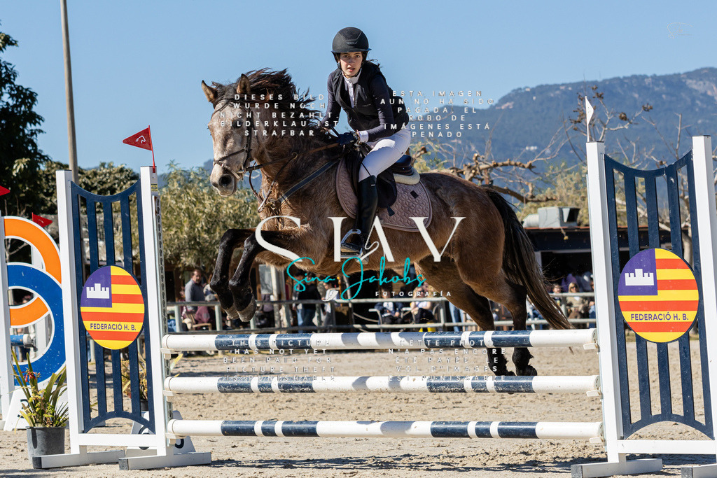 IMG_9479 | s-jay-photography - Realisiert mit Pictrs.com