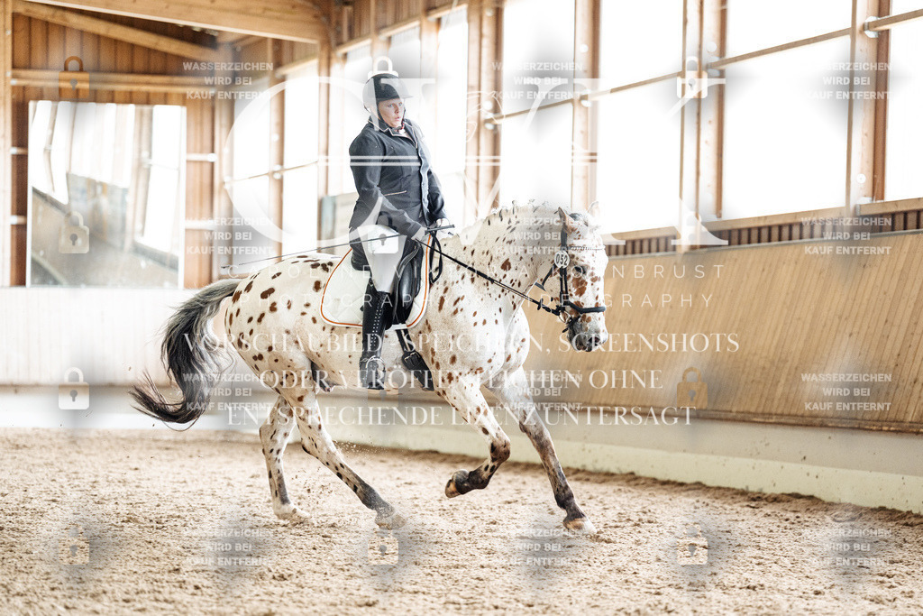 CK901198 | Turnierfotografie Pferdefotografie Trier Rheinland-Pfalz Pferdesport Reitsport Tierfotografie Sportfotografie Pferdevideo Pferdevideografie Equestrianvideography equestrianphotography  - Realisiert mit Pictrs.com