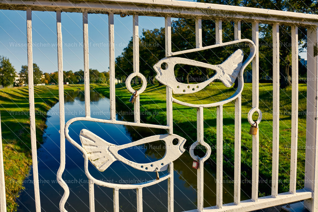 Grüner Saum Hoyerswerda - Nordteil an der Schwarzen Elster | Grüner Saum Hoyerswerda - Nordteil an der Schwarzen Elster - Realisiert mit Pictrs.com