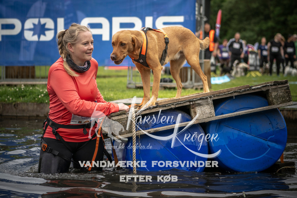 1008_ZZ94590 | kk-dogfotos