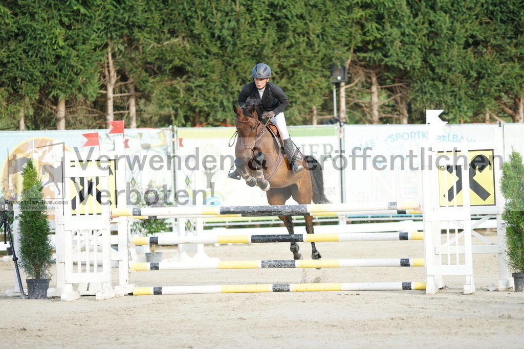 DSC01510 | equestrian-live-com