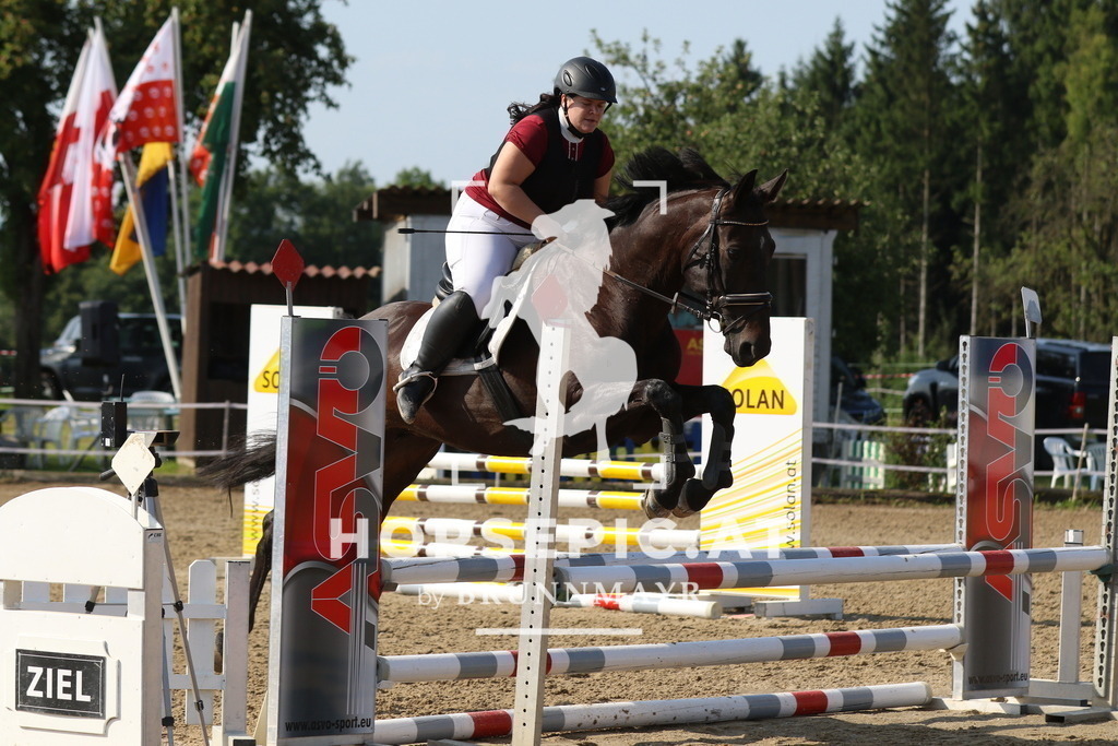 7V2A2658 | Willkommen bei Brunnmayr - Design & Fotografie – Ihrem Spezialisten für Reitturniere und Pferdeveranstaltungen in Oberösterreich, Salzburg und Bayern! Seit über 17 Jahren sind wir leidenschaftlich dabei.