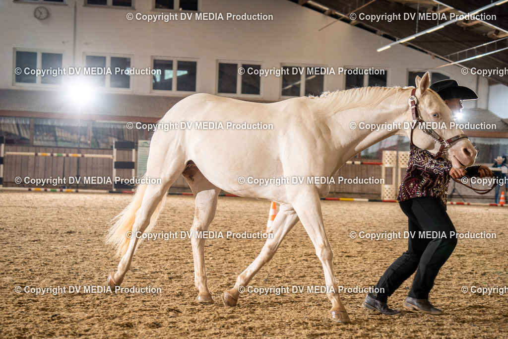 Zeiskam Tag 1-131 | dv-media-shop - Realisiert mit Pictrs.com