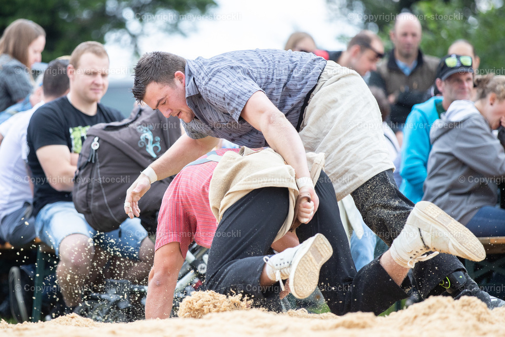 DX3_0485 | meyer-stoeckli