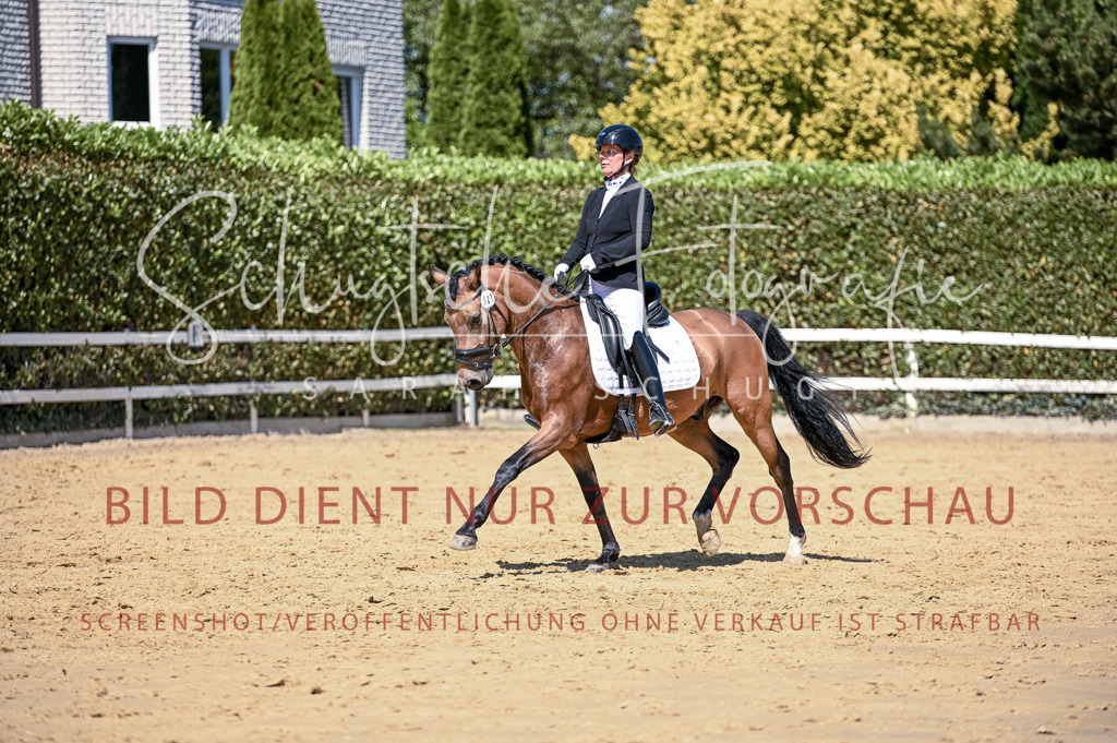Schugtsche-Aluta25-49.Dressurpferdeprf.A-428 | Schugtsche Fotografie - Realisiert mit Pictrs.com