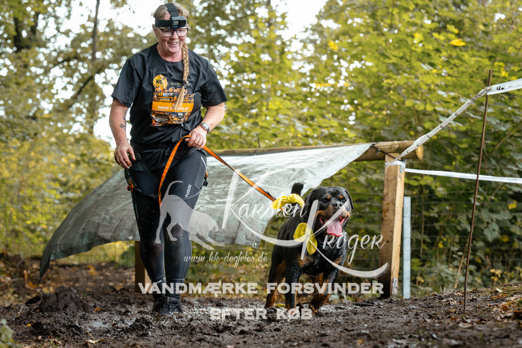 1431DZ6_2793Z6 | kk-dogfotos