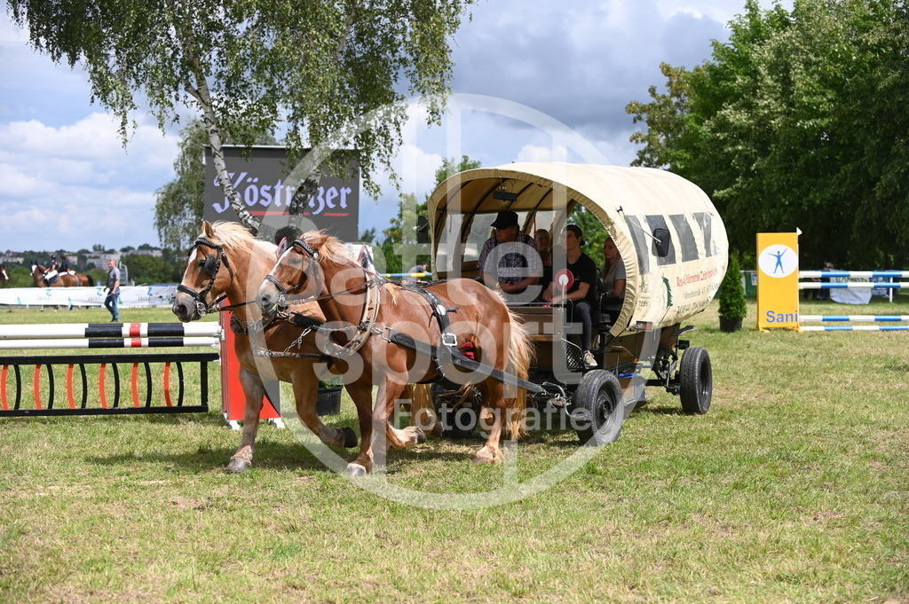 DSC_6961 | sattelsport - Realisiert mit Pictrs.com